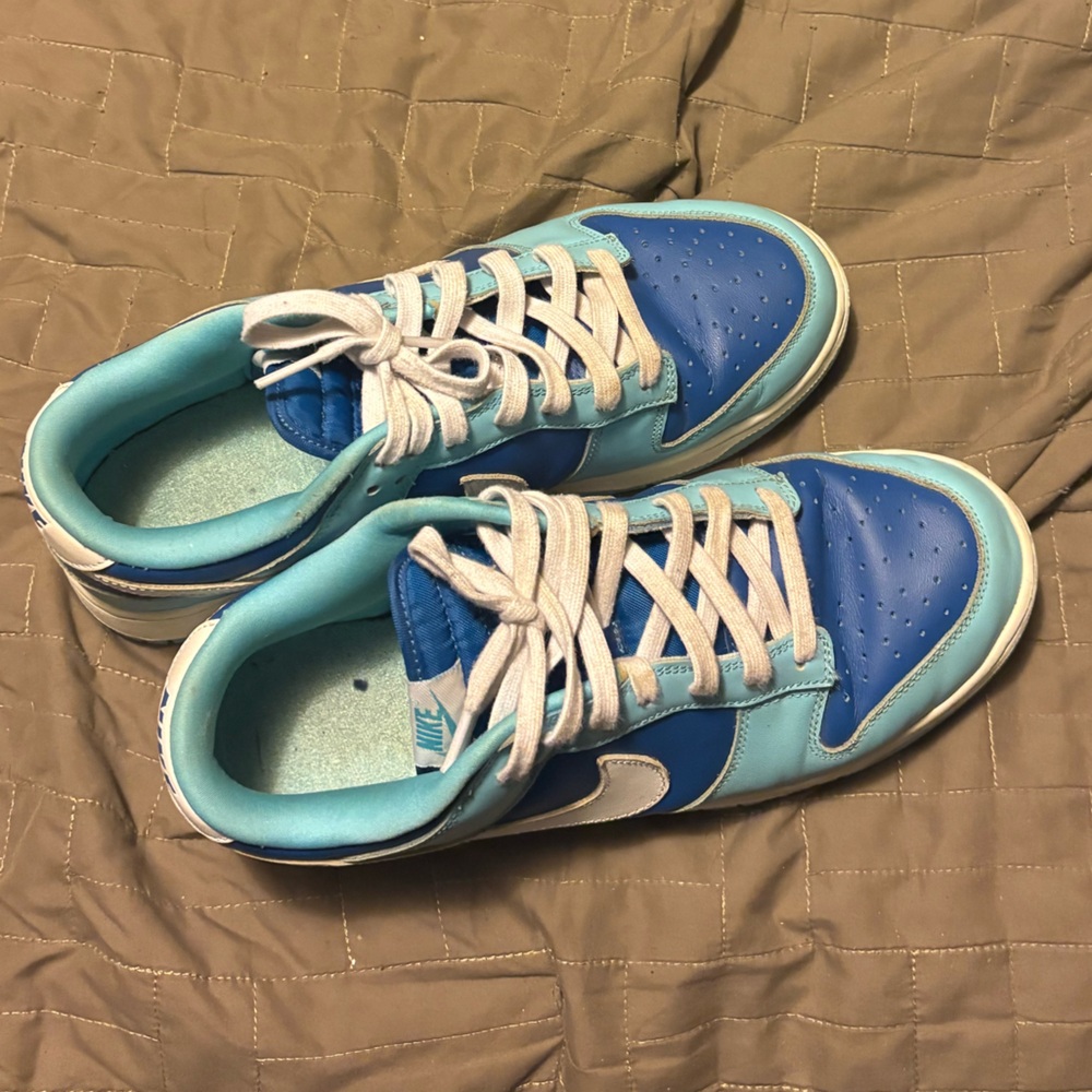 Shoes Nike sb low pros